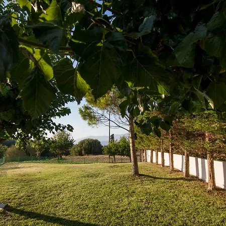 Casa rural An Excellent Country House In Kefalonia *