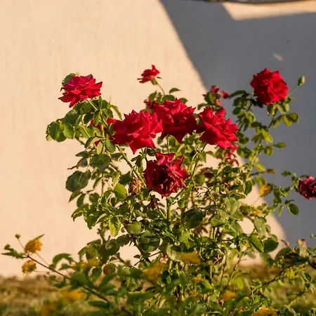 Casa rural An Excellent Country House In Kefalonia